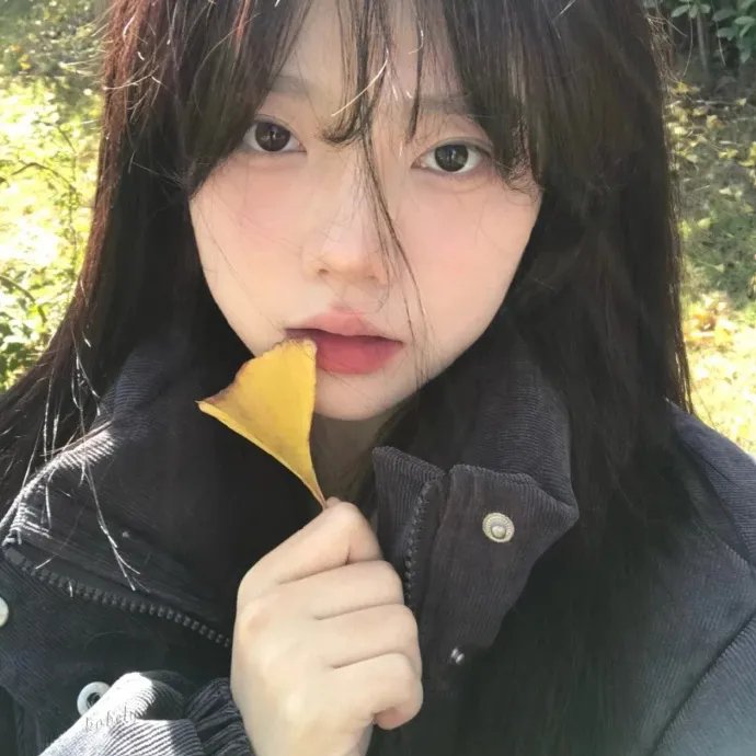 麦兜·当当伴我心